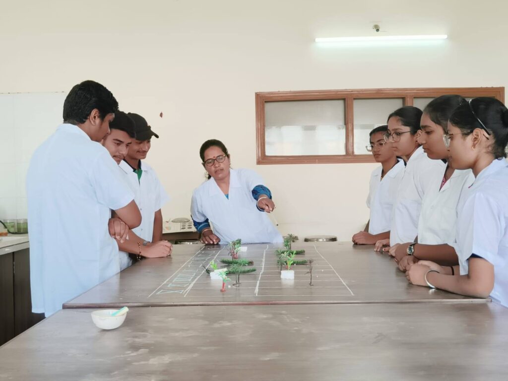 545687488_1883357825729535_8059363581314381795_n